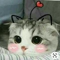 tg cute__vẫn fa