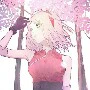Sakura