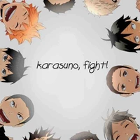 Karasuno Team