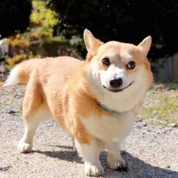 Ma mất não