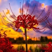 Hệ thống truyện