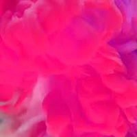 Nhân vật tổng hợp