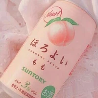 Japan Food