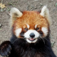 người bí mật???