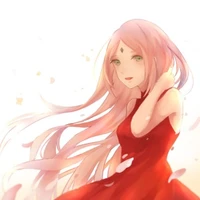 Haruno Sakura[Aizawa Fukumi]