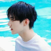 Song Tử - Gemini Fioena