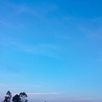 Cả lớp