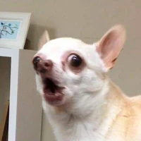 Anti lúp trưởn =(