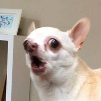 Anti lúp trưởn =(