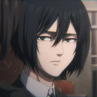 Mikasa
