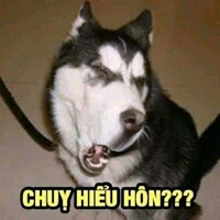 tác giả