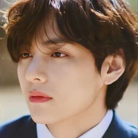 Kim Taehyung - V