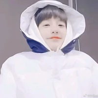 Trương Trạch Vũ