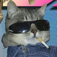 Tác giả(it me:3)