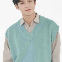 Mingyu - Kim Mingyu 