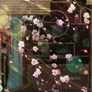 Chưởng Môn các phái