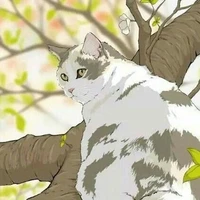 Ryku