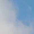 NVP