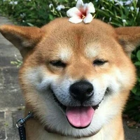 Mikey với Miken