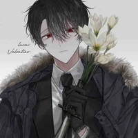 Collin