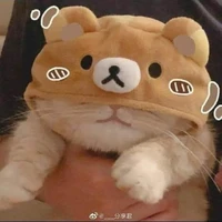 Tui là tác giả cute đay