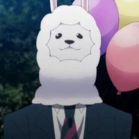 Alpaca_Paca