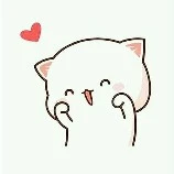Tác giả cute