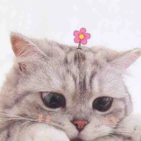 Tủn Mộc