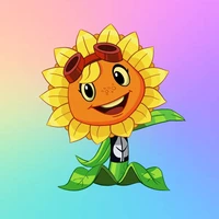 Solar Flare
