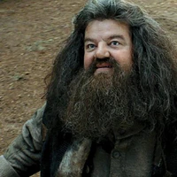 Bác Hagrid