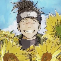 Iruka