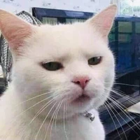 Tui là tác giả cute đay