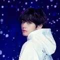 Kim Taehyung (V)
