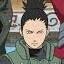 shikamaru