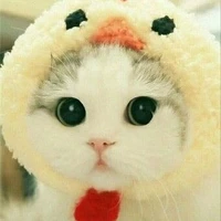 Nhân vật quần chúng