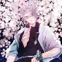 Shinazugawa Sanemi