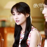 Bối vy vy(Lô vỹ vy vy)