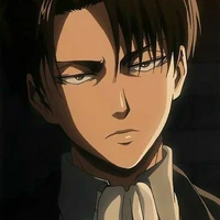 Levi