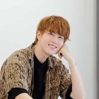 thịnh nghị lực