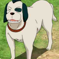 Sasuke