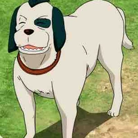 Sasuke
