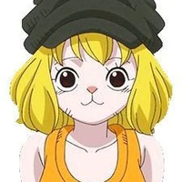 carrot