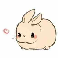 Bunny (pet n9)
