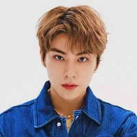 Xiaojun 