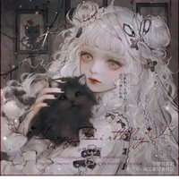 Allake D.gavil
