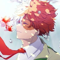 Shoto Todoroki