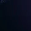 ????