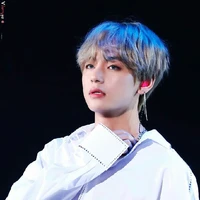 Kim Taehyunh☆V