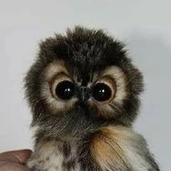 Hệ thống-Mu cát