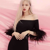 Park Chaeyoung (nàng)